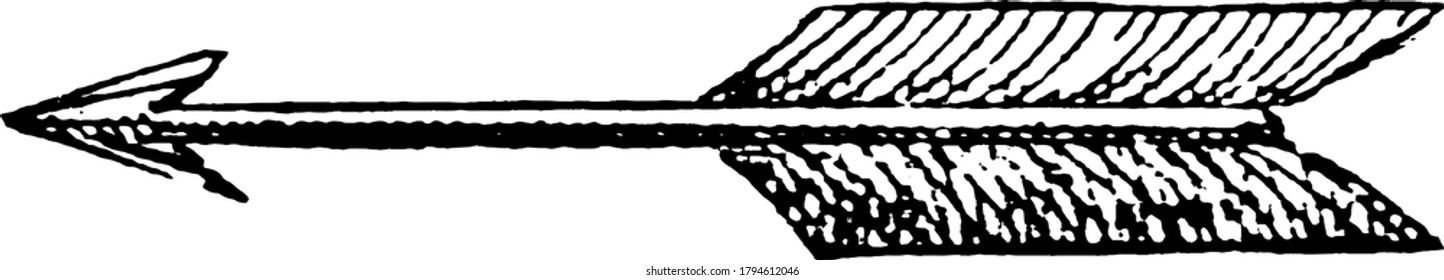 Arrow, A pointed weapon to be shot from a bow, vintage line drawing or engraving illustration.