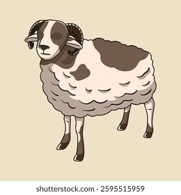 Arrowroot sheep, Garut sheep local sheep breed from Indonesia