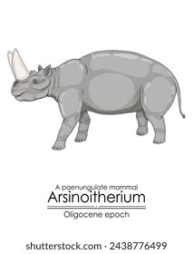 Arsinoitherium, ein paenunguläres Säugetier aus dem Oligozän. Es hatte große Nasenhörner und kleinere Stirnhörner. 