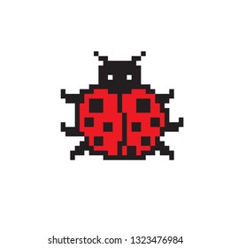 art animals ladybug