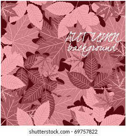 art autumn vintage background