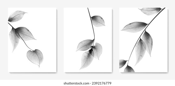 Art background with black and white transparent leaves on a branch in a watercolor style. Botanical poster set for decoration, print, packaging, interior design, poster.