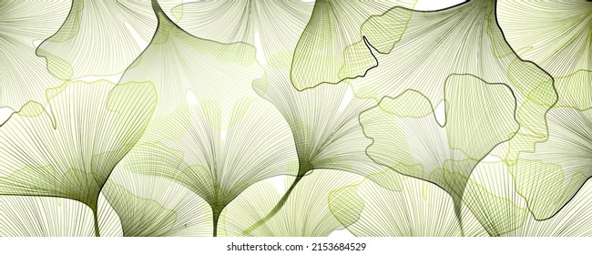 Art background with a skeleton of gingko leaves in green. Botanical tropical banner for wallpaper design, packaging, interior decor