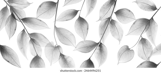 Art background with transparent black and white leaves on a branch in a watercolor style. Botanical banner for decoration, wallpaper, print, textile, interior design, packaging.