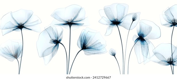 Fondo de arte con flores transparentes, adornos o rosas en azul en un estilo acuarela. Banner vectorial floral botánico para decoración, impresión, papel pintado, invitaciones, embalaje, diseño interior