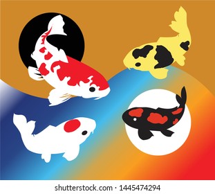 The art of balance of koi fish in the frame of the balance of colors