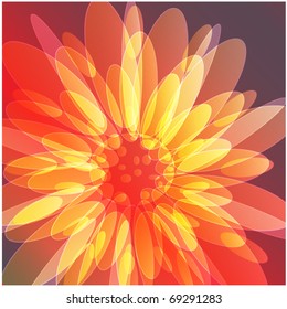 art beautiful flower background