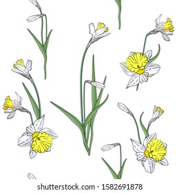 Art bouquet of yellow and white narcissus with green leaves. Vector illustration. Daffodil flower or jonquils isolated on white background. Endless texture horizontal brush, seamless pattern, border