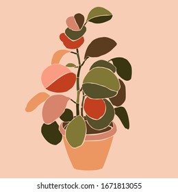 Art collage houseplant peperomia in a minimal trendy style. Silhouette of potted plant in a contemporary simple abstract style on a pink background. Vector illustration