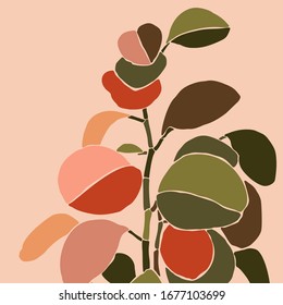 Art collage houseplant peperomia in a minimal trendy style. Silhouette of plants in a contemporary simple abstract style on a pink background. Vector illustration