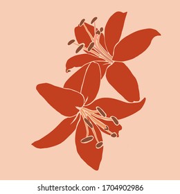 El lirio de color Art Colage florece en un estilo minimalista de moda. Silhouette de plantas lienosas en un estilo contemporáneo sencillo y abstracto sobre un fondo rosa. Ilustración vectorial para Pantalones t Imprimir, tarjeta, afiche, volante