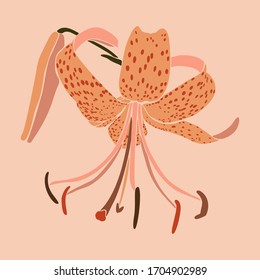 Art collage lily flower in a minimal trendy style. Silhouette of lily plants in a contemporary simple abstract style on a pink background. Vector illustration For Print, card, poster, flyer