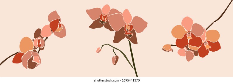 Art collage orchid flower in a minimal trendy style. Silhouette of orchid plants in a contemporary simple abstract style on a pink background. 
