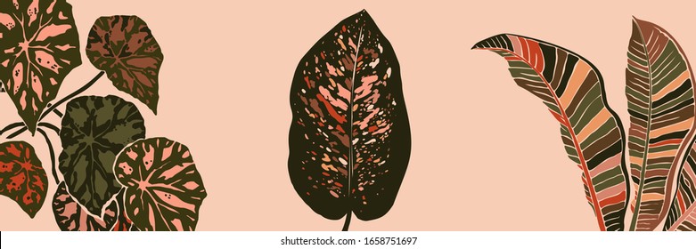 Art collage plant leaves in a minimal trendy style. Silhouette of Dieffenbachia, begonia and banana plants in a contemporary simple abstract style on a pink background. Vector illustration freehand