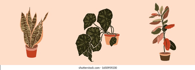 Art collage potted houseplants in a minimal trendy style. Silhouette of sansevieria, begonia and ficus plants in a contemporary simple abstract style on a pink background. Vector illustration freehand