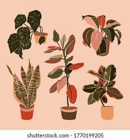 Art collage potted houseplants in a minimal trendy style. Silhouette of sansevieria, begonia and ficus plants in a contemporary simple abstract style on a pink background. Vector illustration freehand