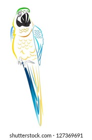Art: Colorful Macaw vector