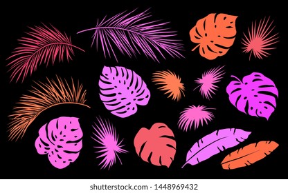 art colorful tropical summer set palm leaves and branches on black background
