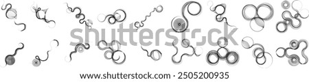 Art composition with lines,circles, spiral.Modern art design .Vector design elements .Transition  lines .Bauhaus style .Geometric shapes. Wall art .