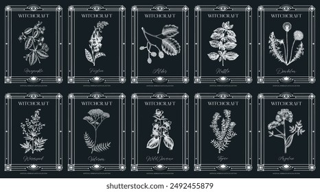 Art deco apothecary labels set. Witchcraft, healing herbs, mystical plants sketches. Vintage frame design templates. NOT AI generated