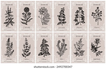 Art deco apothecary labels set. Witchcraft, healing herbs, mystical plants sketches. Vintage frame design templates. NOT AI generated