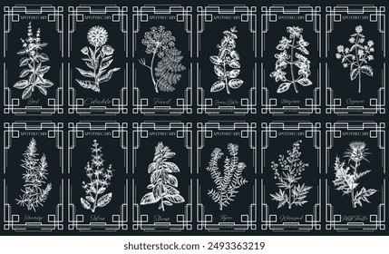 Art deco apothecary labels set. Witchcraft, healing herbs, mystical plants sketches. Vintage frame design templates. Chalkboard. NOT AI generated