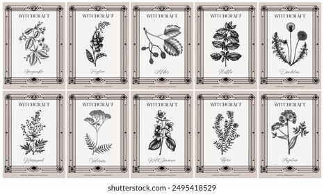 Art deco apothecary labels set. Witchcraft, healing herbs, mystical plants sketches. Vintage frame design templates. NOT AI generated