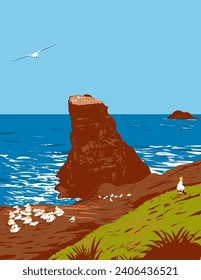 Art Deco or WPA poster of Muriwai gannet colony in Muriwai Regional Park on the west coast of the Auckland Region in the North Island of New Zealand done in works project administration style.