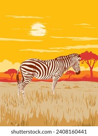 Art Deco or WPA poster of a plains zebra in grasslands and Acacia plains of Serengeti National Park located in northern Tanzania in Africa done in works project administration style.