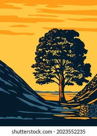 Art Deco or WPA poster of the Sycamore Gap tree in Hadrian's Wall Country within Northumberland National Park in North East England, United Kingdom done in works project administration style.