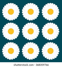Art delicate daisy chamomile back pattern sky color row
