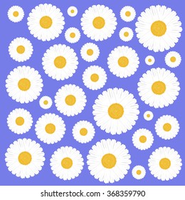 Art delicate daisy chamomile back pattern blue