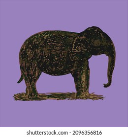 An art of elephant with different colours. The colours describe mud, nature, jungle. 