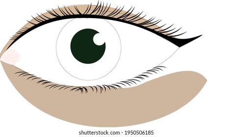 El contacto con el arte de los ojos