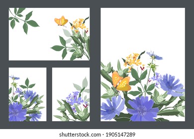 Art floral greeting and business cards. Vector cards with blue chicory, yellow butterflies, green stems and leaves. Blue and yellow small flowers. Vector flowers isolated on a white background.