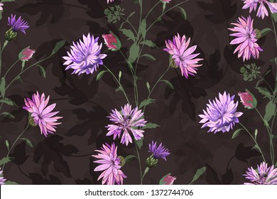 Art floral vector seamless pattern. Beautiful vector summer flowers on a deep brown background. Pink and violet cornflowers with buds and leaves.