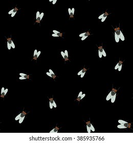 Art fly back pattern black