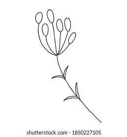 Art foliage natural leaves herbs in line style. Decoration element for design invitation, wedding cards, valentines day.