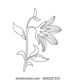 Art foliage natural leaves herbs in line style. Decoration element for design invitation, wedding cards, valentines day.