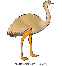 art illustration: a big bird named ema