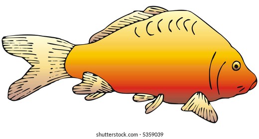 art illustration of a carp