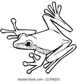 art illustration of a frog Osteocephalus Taurinus