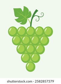 art illustration of green grapes