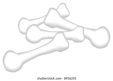 art illustration of a group of bones