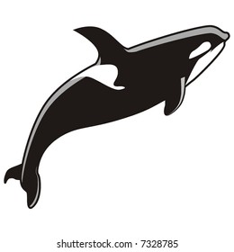 art illustration of a killer whale