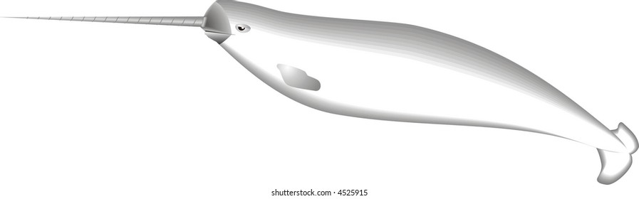 art illustration of a marine mammal, narwhal