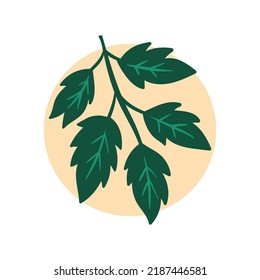 Art Illustration Pattern Seamless symbol icon botanical logo plants of aesthetic leaves
