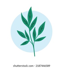 Art Illustration Muster Nahtlose Symbol Symbol botanische Logo-Pflanzen ästhetischer Blätter