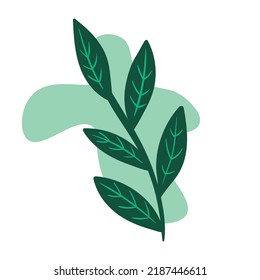 Patrón de ilustración de arte Icono de símbolo sin soldadura plantas de logotipo botánico de hojas estéticas
