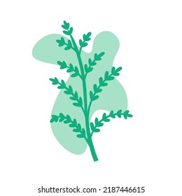 Patrón de ilustración de arte Icono de símbolo sin soldadura plantas de logotipo botánico de hojas estéticas